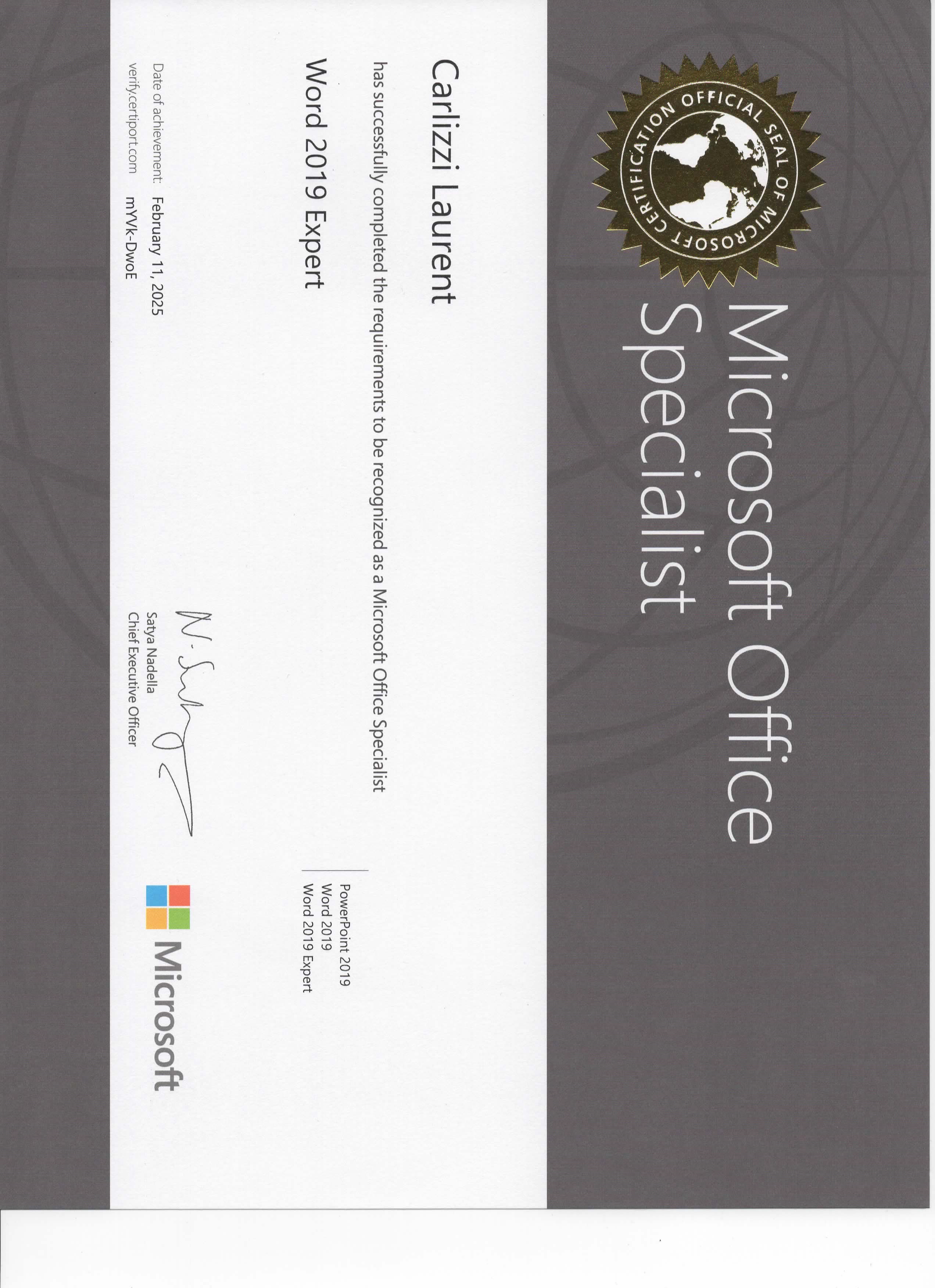 Microsoft Word Expert